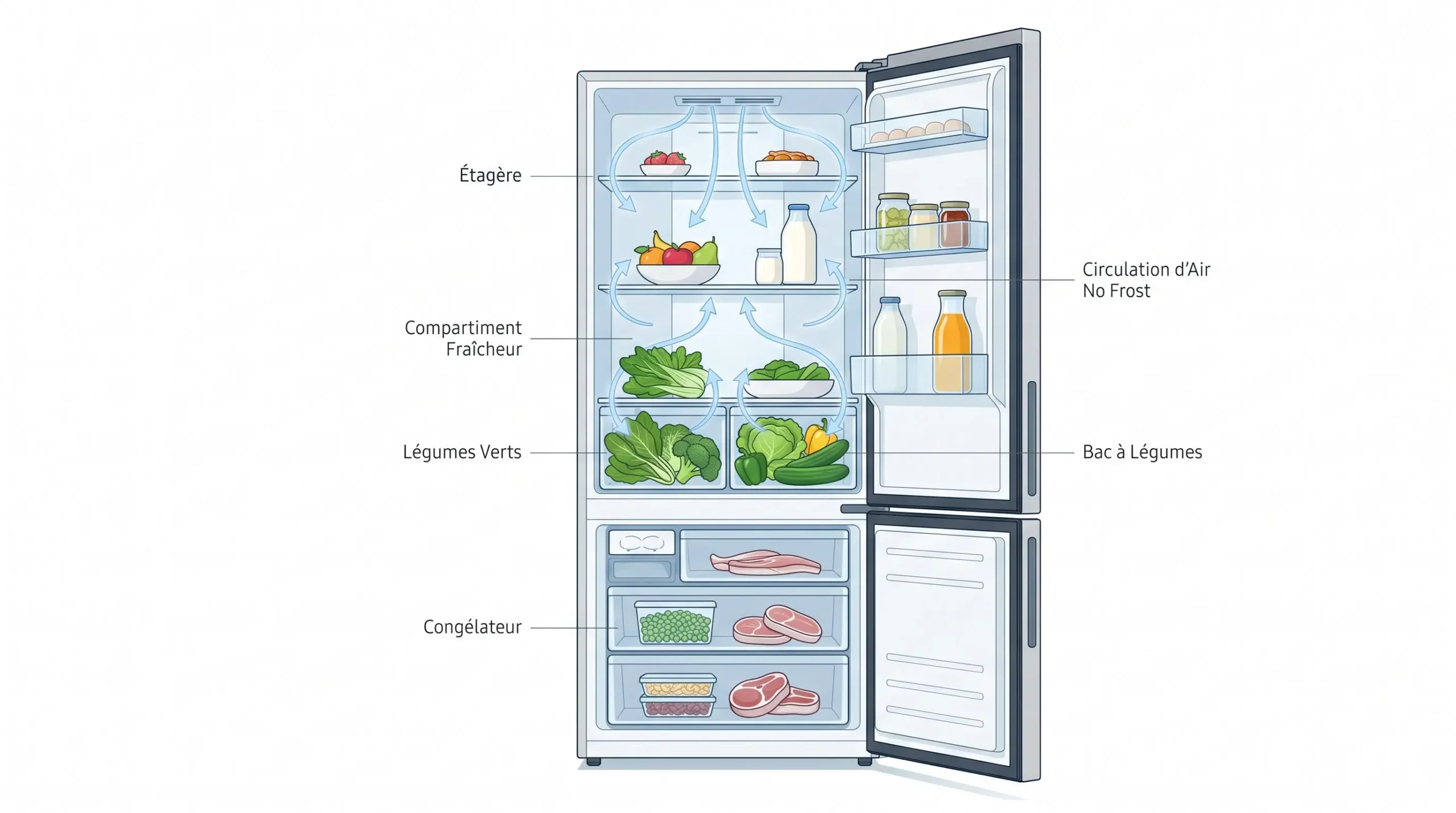 Schéma illustratif d'un réfrigérateur No Frost avec flèches indiquant la circulation d'air froid homogène autour des légumes
